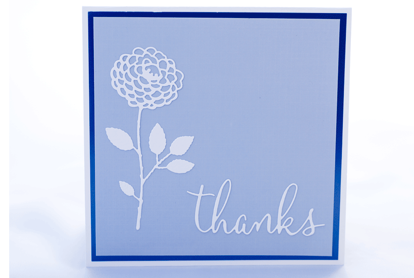 Thanks with Rose